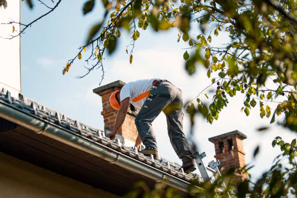 Best Gutter Installation and Roofing  in Marlboro Village, MD