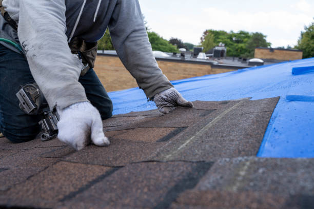 Roof Gutter Cleaning in Marlboro Village, MD
